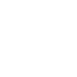 renovation icon